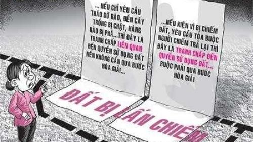 LUẬT SƯ NHÀ ĐẤT